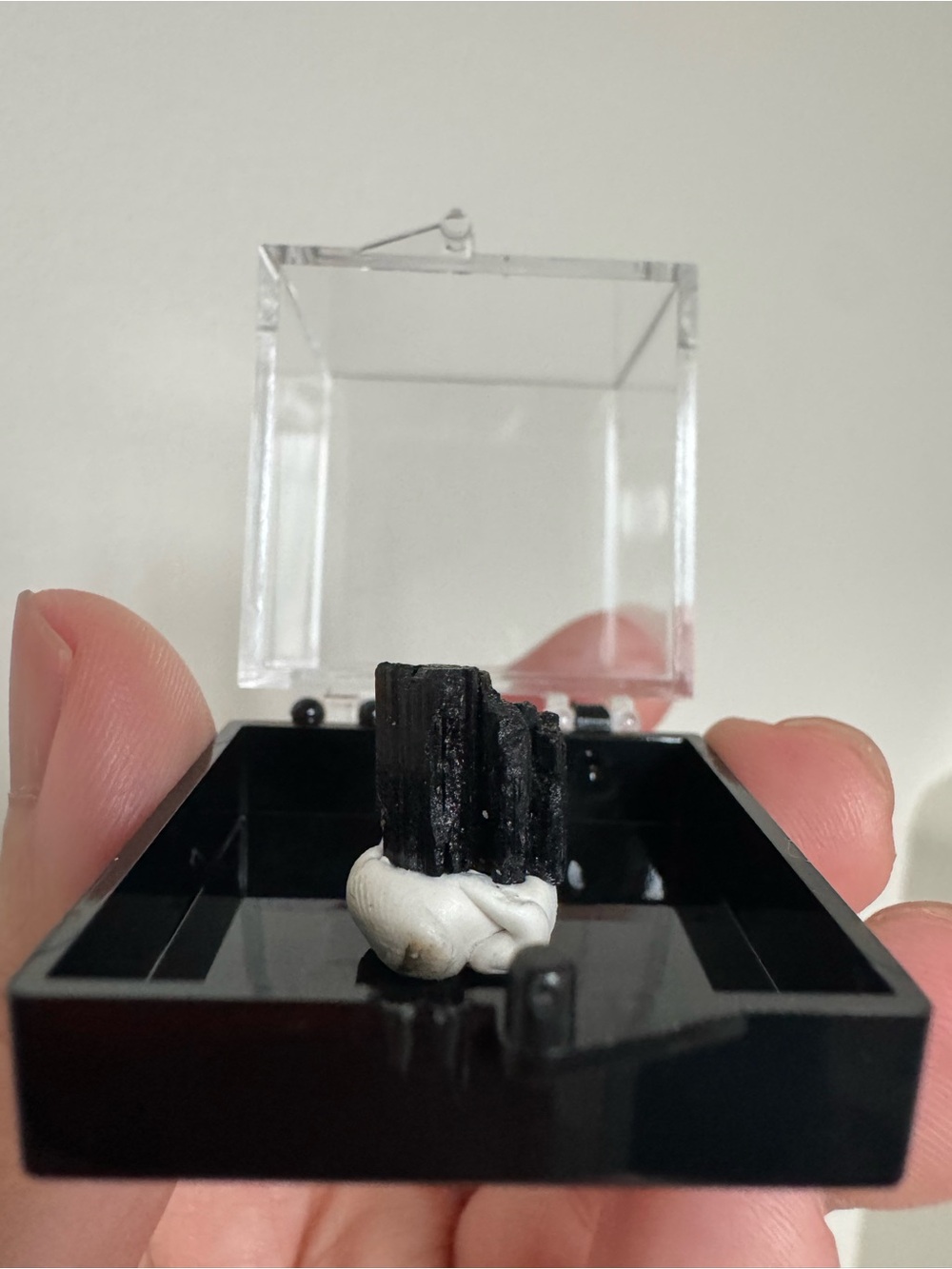 Black Tourmaline mineral specimen